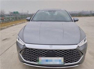 Byd Qin Dynasty 2021 Dm-I 120km Ultimate