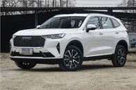 Havel H6 1.5t 2021 Chinese Used Car