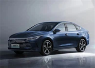 BYD Destroyer 05
