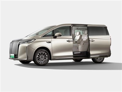 WEY Mountains 5-door, 7-seater MPV